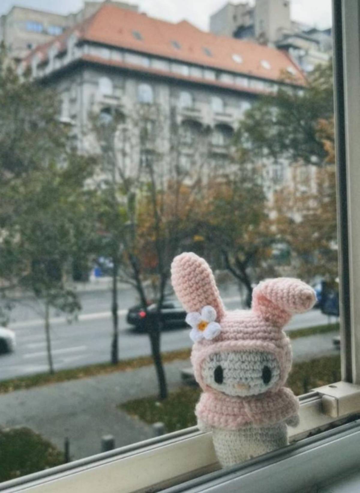 Miniatură 2